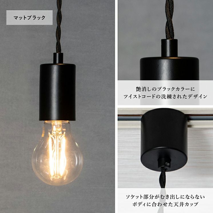 NUDE LAMP マットブラック ダクトレール ペンダントライト