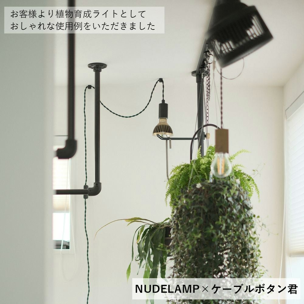 コンセント式ペンダントライト 「NUDELAMP」