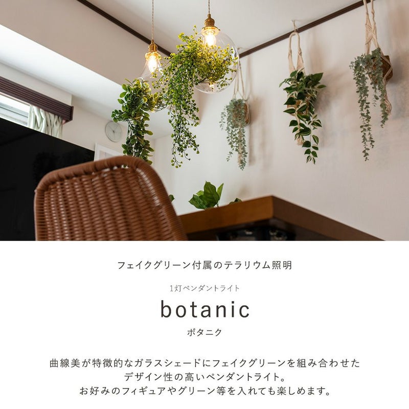 テラリウムを楽しめるペンダントライト