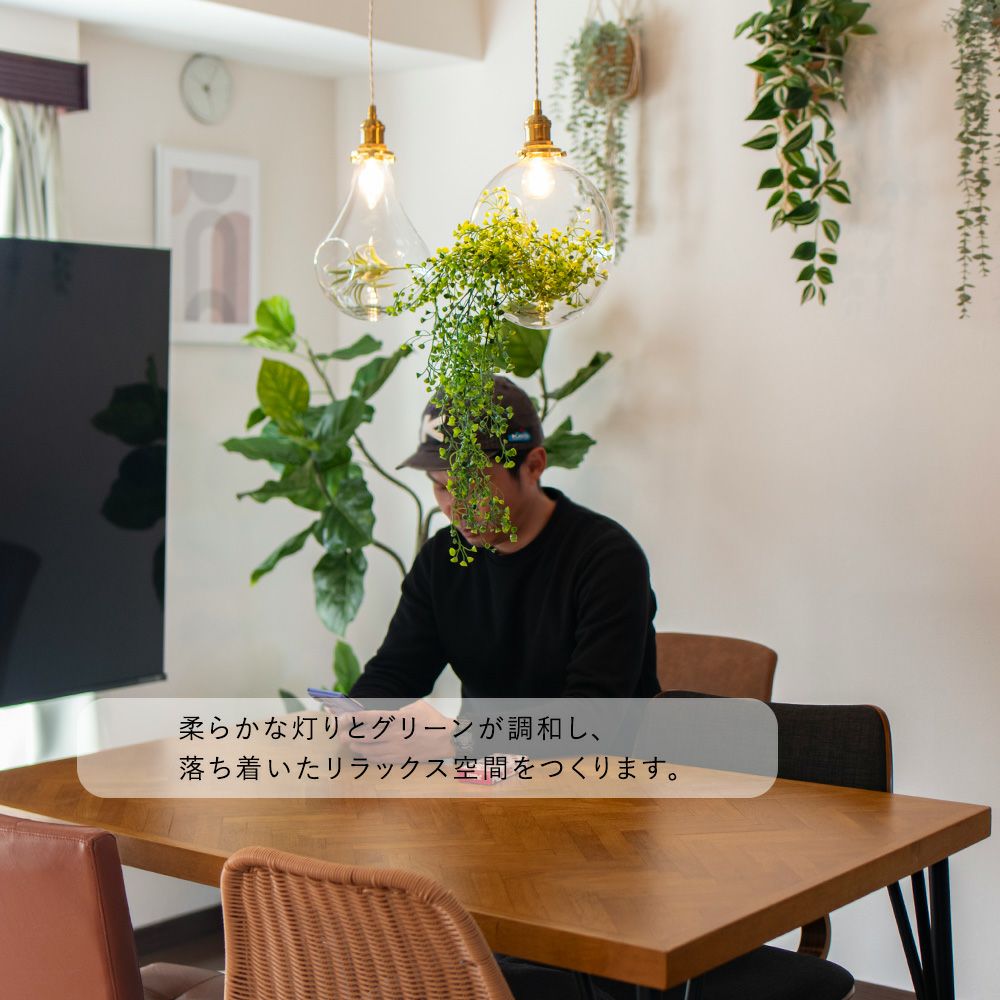 テラリウムを楽しめるペンダントライト