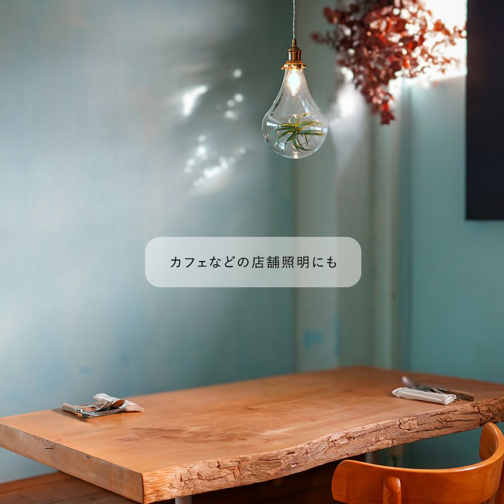 グリーンのある暮らしにテラリウムペンダントライト「Botanic/ボタニク」