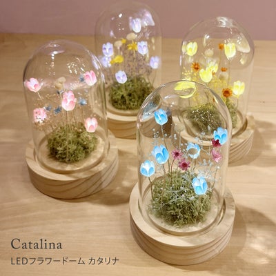 10,000円 | 照明専門店 MU-RA Online Store