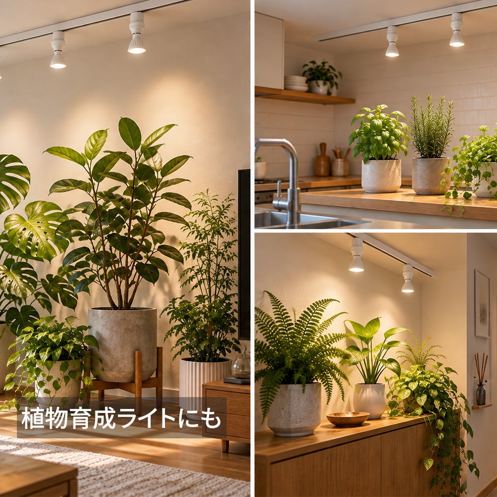 植物育成ライト用としても
